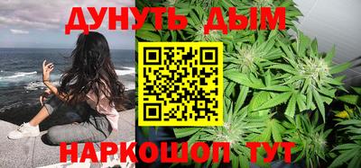 гашик Бердск