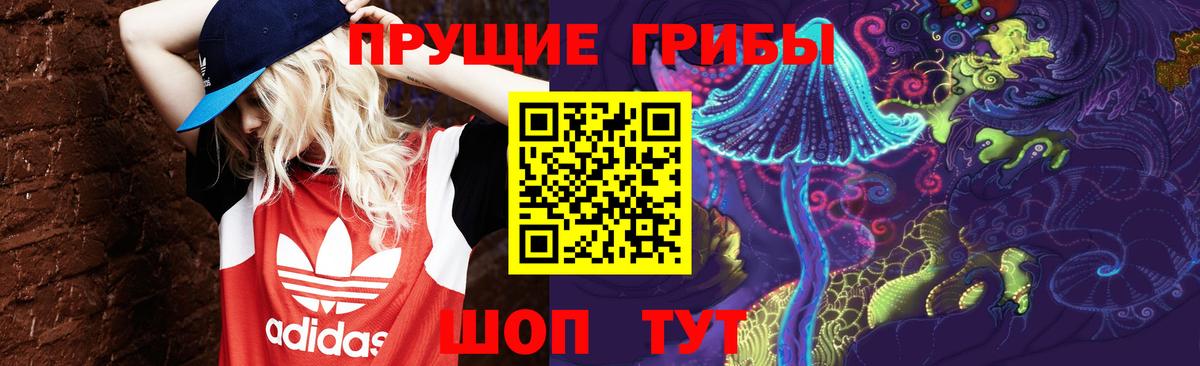 Омск  Галлюциногенные грибы Psilocybine cubensis  Вход с VPN 